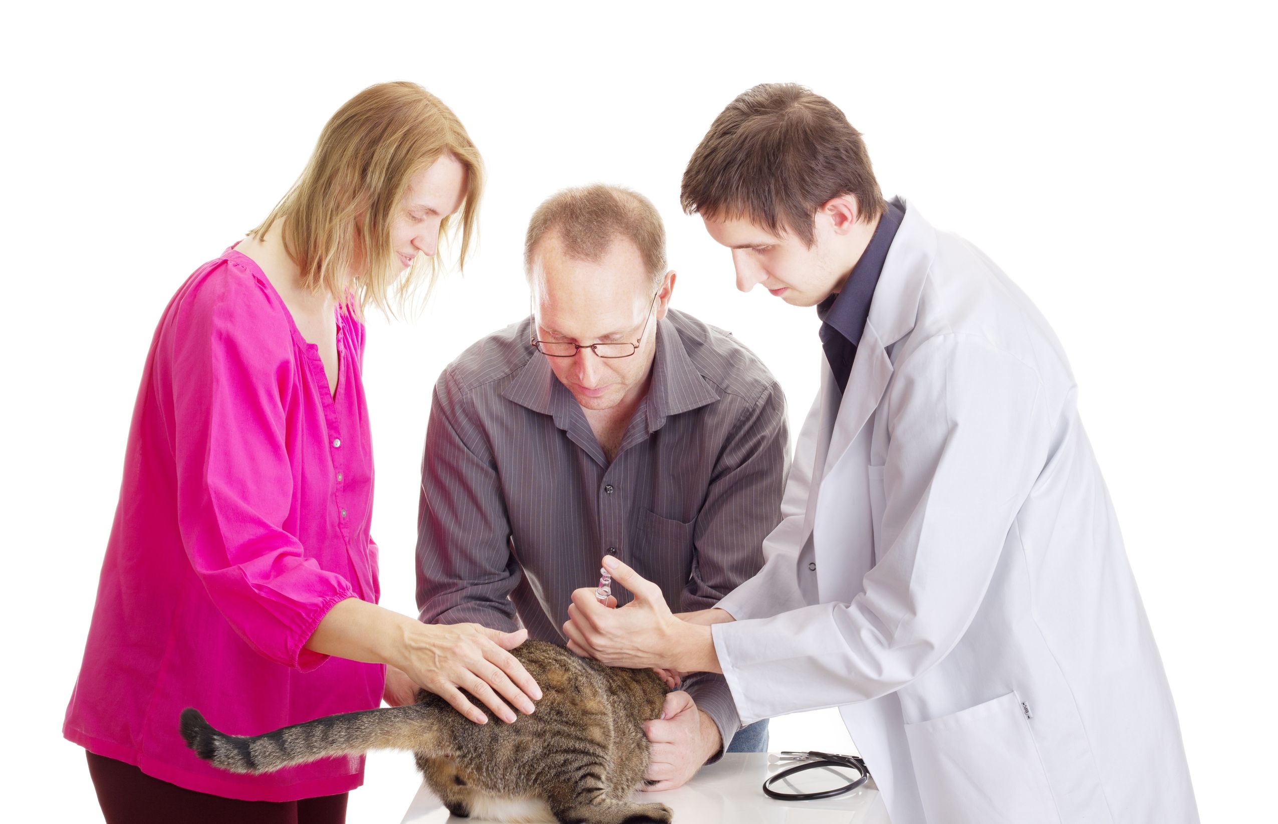 Local Animal Hospital, Bring your Pet to the Bethesda, MD