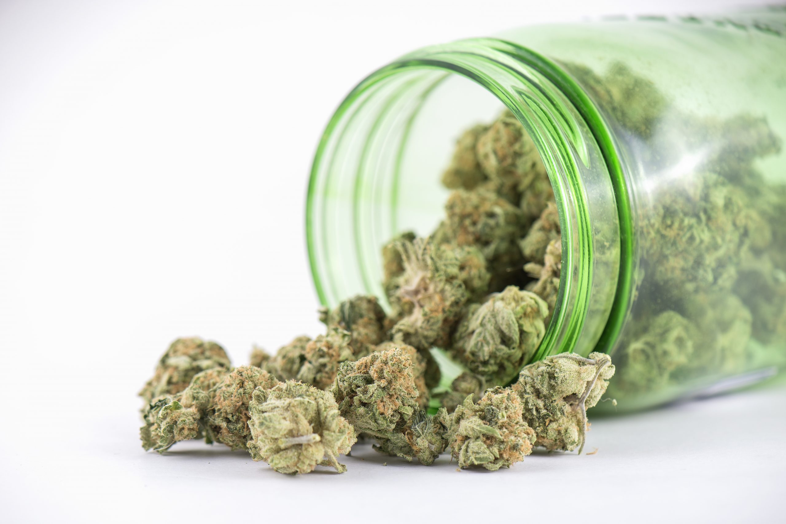 The Advantages of Buying From a Cannabis Dispensary in Starkville, MS