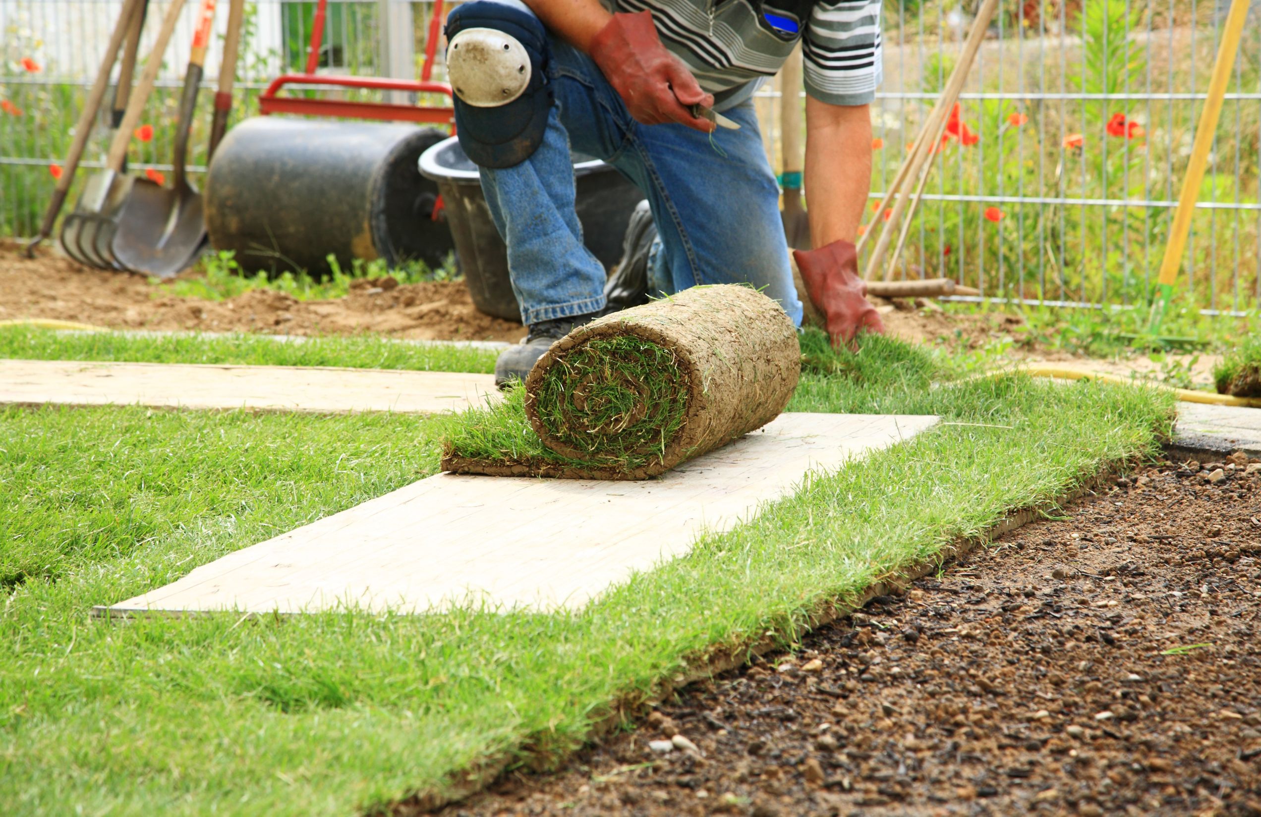 Look for a Reputable Company for Professional Lawn Restoration Service in Roseville, CA