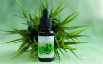 Benefits, Uses, and Things to Consider When Buying CBD Pet Products