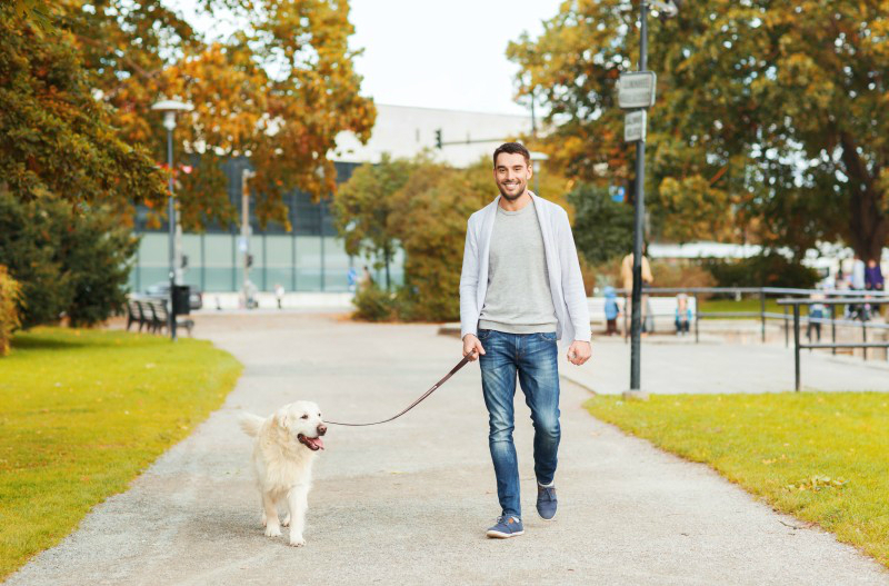 Dog Boarding In NYC: Personalized Care For Your Pet’s Happiness