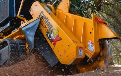 Discover the Top Benefits of Stump Grinding in Senoia GA